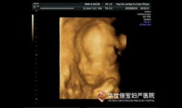 四维视频,四维视频揭秘未知世界